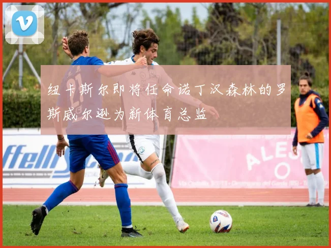 纽卡斯尔即将任命诺丁汉森林的罗斯威尔逊为新体育总监
